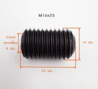 M16x25 วัดไซต์